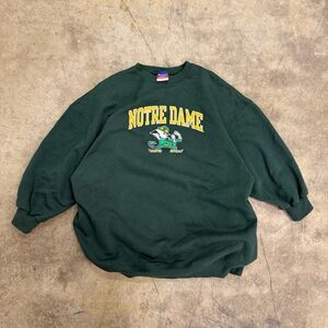 Vintage y2k Notre Dame fighting Irish Champion pullover crewneck